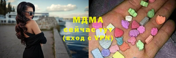 МДПВ Каменка