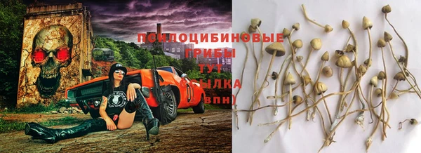 герыч Каменск-Шахтинский