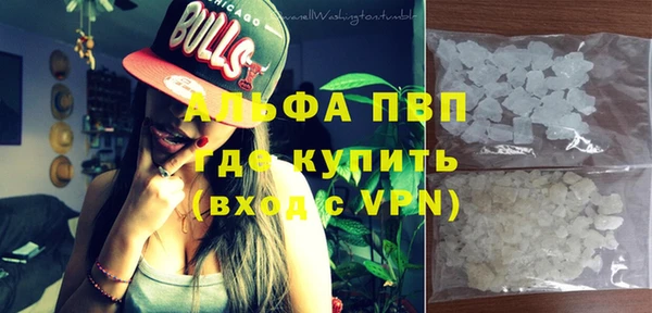 МДПВ Каменка