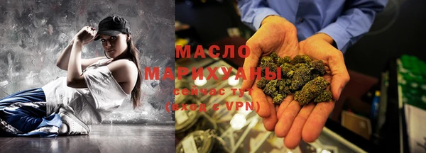МДПВ Каменка