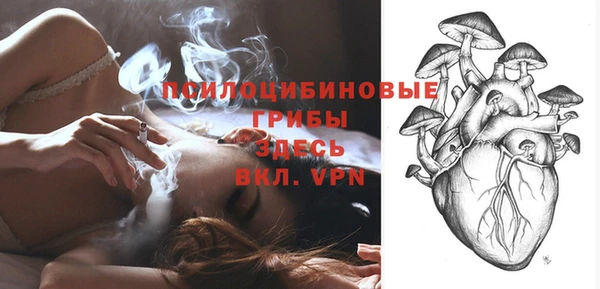 МДПВ Каменка