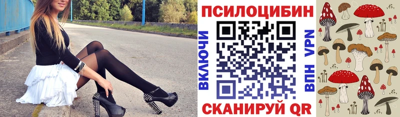 Купить где  Гусь-Хрустальный  Галлюциногенные грибы Cubensis 