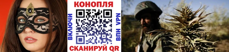 Бошки Шишки ГИДРОПОН  Купить закладки  Гусь-Хрустальный 